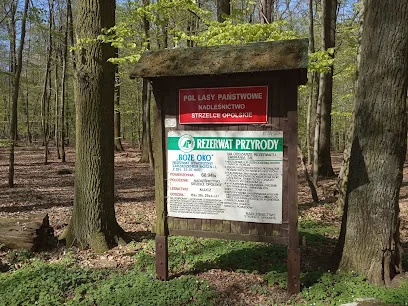 Rezerwat przyrody "Boże Oko"