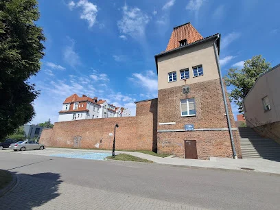 Zamek w Koźlu